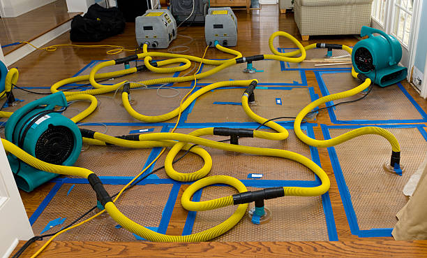 Professional Water Extraction technician working in Haviland, NY
